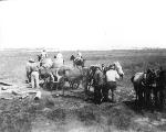 Wagon on the Dunn Ranch