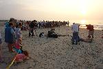 Hatchling Release crowd