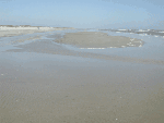 Exposed sandbar
