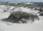Blowout dunes