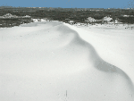 Barren dune near the Laguna Madre shore