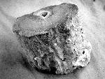 Large fulgurite specimen