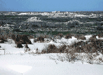 Grasslands and dunes