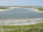 Pool among the flats