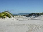 Trough in fore-island dunes