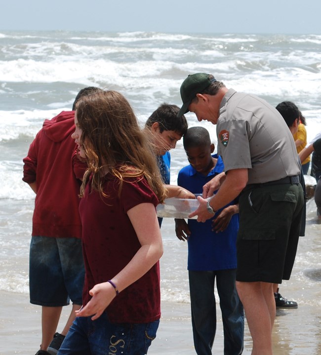Students examine sea creatures caught during our Hidden Treasures program.