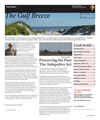 Cover Gulf Breeze 2006 Spring