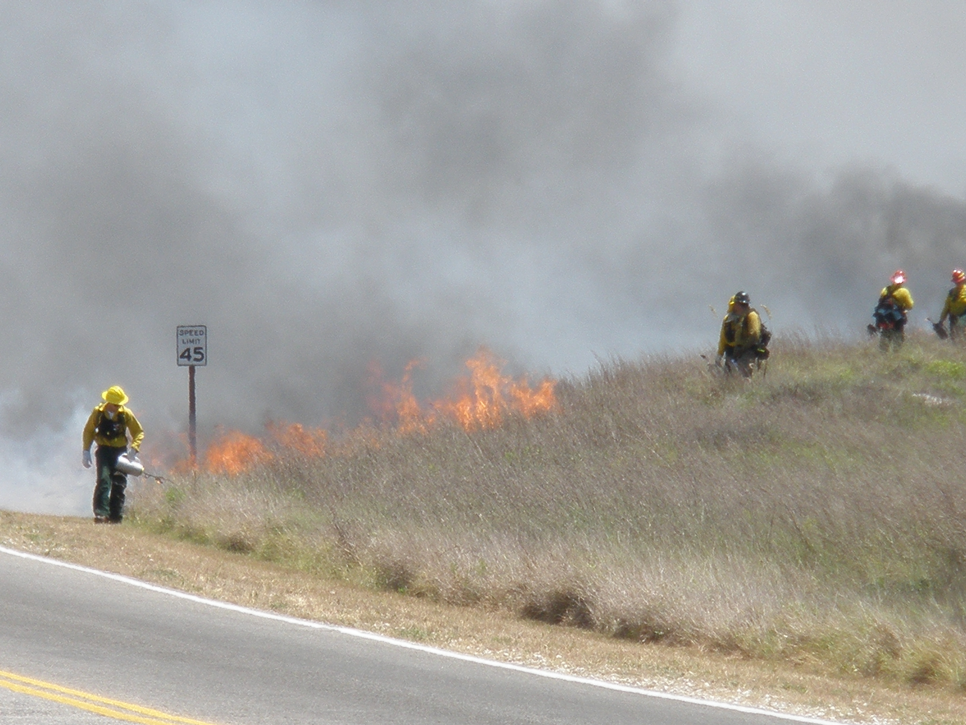 Prescribe Burn at Padre Island Prescribe Burn at Padre Island