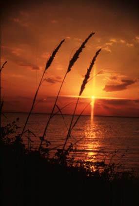 Sunrise over the Gulf