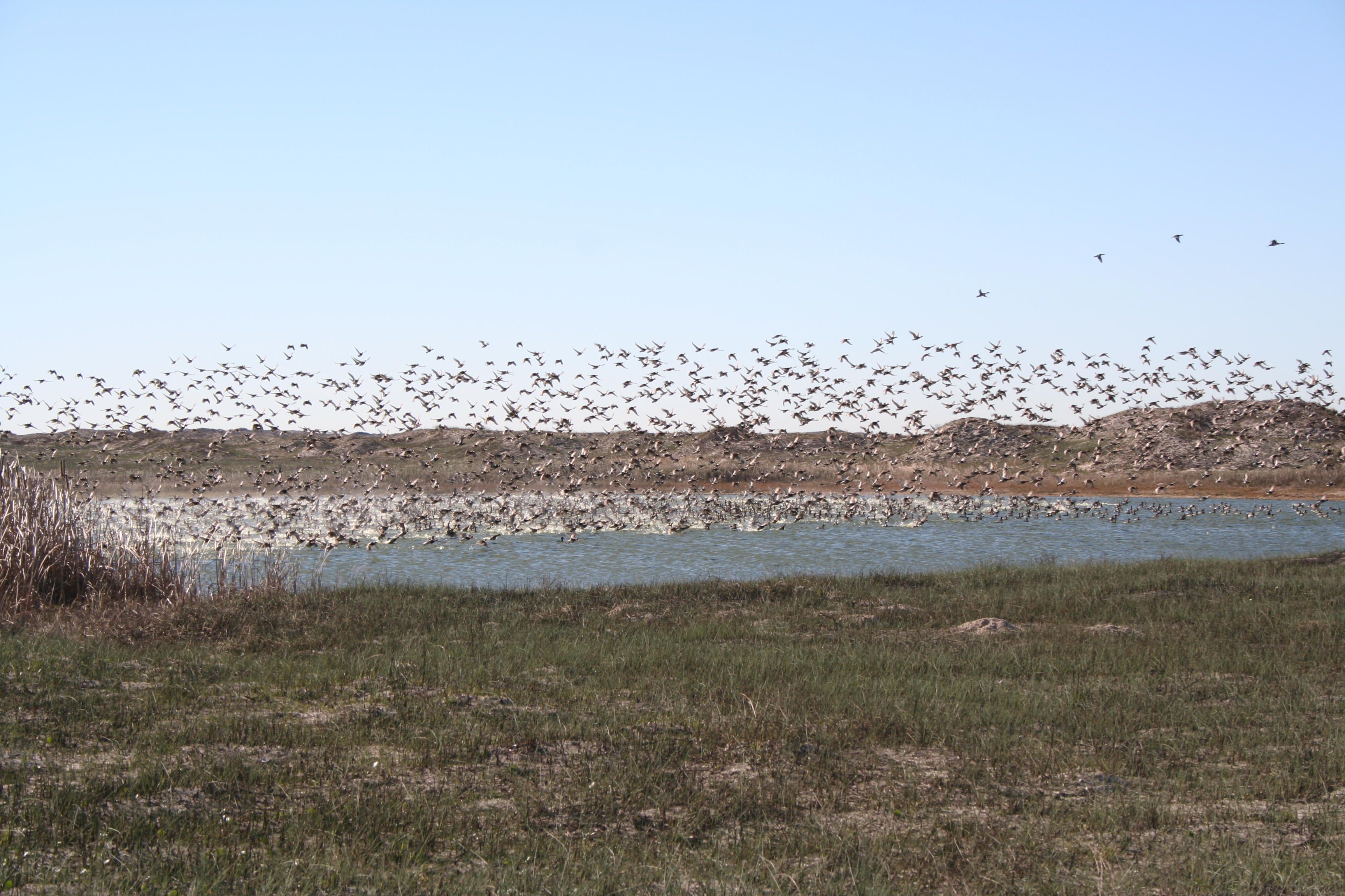 Canton Oklahoma Duck Hunting