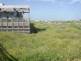Malaquite Visitor Center in November, 2002