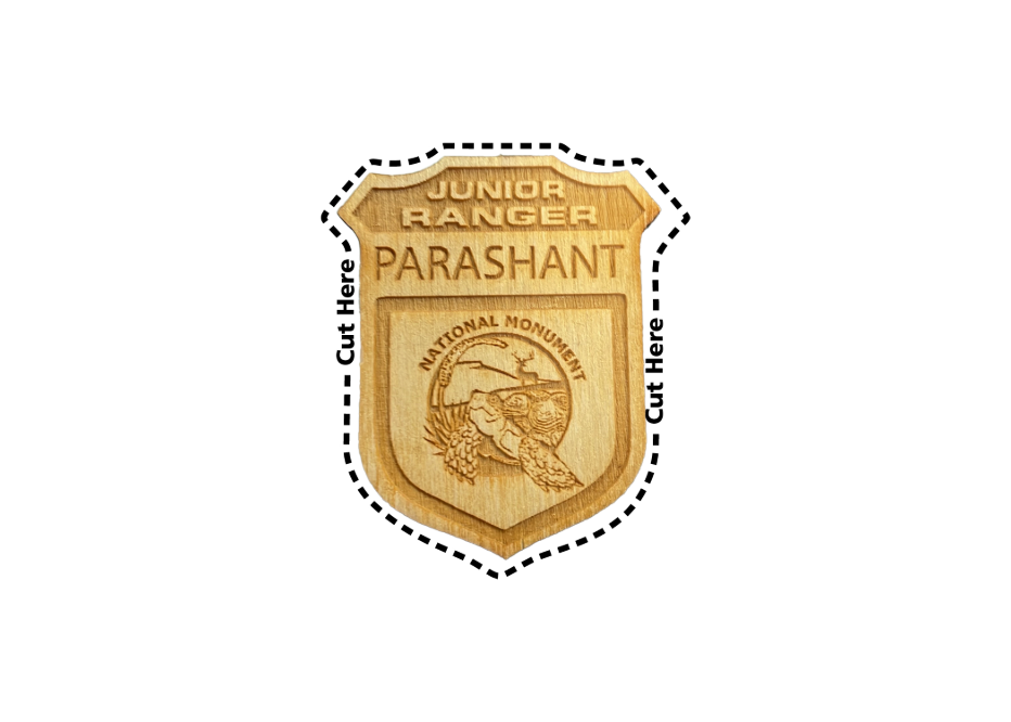 Junior Ranger Badge for Parashant with picture of a desert tortoise in the center