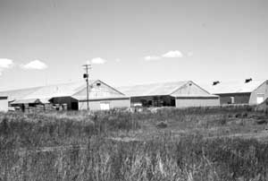 Former industrial warehouses at the Tule Lake Relocation Center