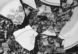 White ware ceramic fragments at the Antelope Springs CCC Camp