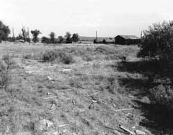 Scattered lumber at the Tulelake CCC Camp today, remaining buildings in background