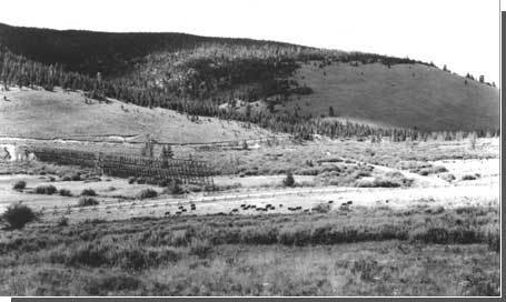 View of battlefield and horse pasture