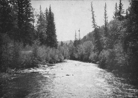 Gunnison River