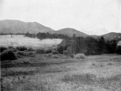 Beaver Park meadows, Rocky
Mountain NP