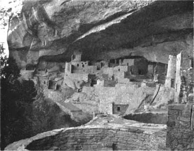 Pinon grove at Cliff
Palace, Mesa Verde NP