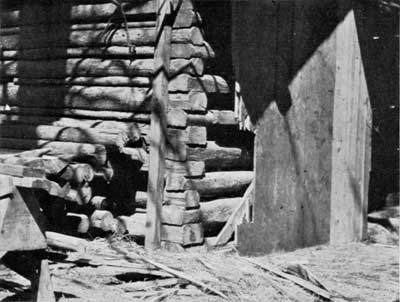 barn broken into by grizzly