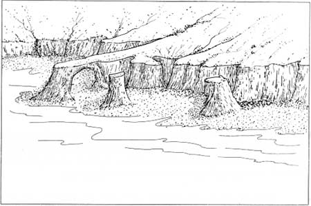 sketch of shoreline