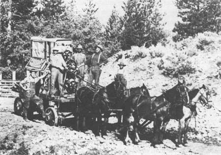 wagon team