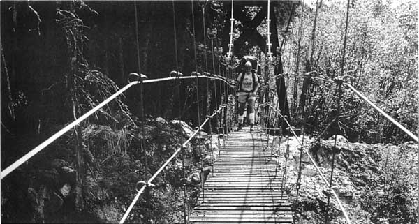 suspension bridge on Chilkoot Trail