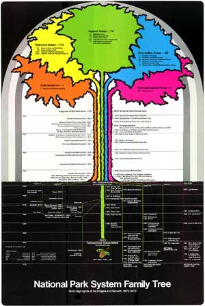 diagram of NPS family tree