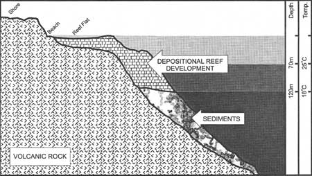 typical reef profile (chart)