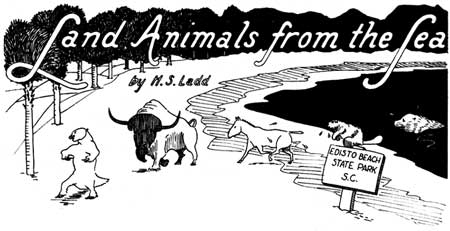Land Animals from the Sea by H.S. Ladd