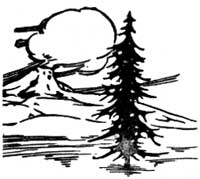 sketch of mountain and tree