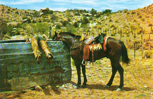 refreshment postcard