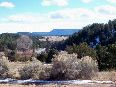 View from porch at FLR
