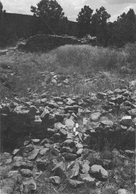 arrowhead ruin view south across plaza w kiva in bkgrnd