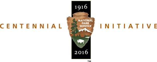 centennial_logo