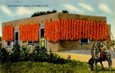 chile adobe