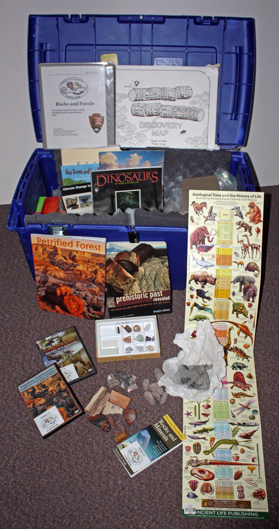 Traveling Trunks Rocks and Fossils