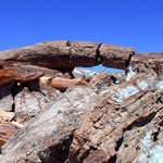 Keystone Arch—a petrified log