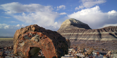 Near sunset over blue badlands and petrified wood