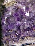 Amethyst crystals in petrified wood