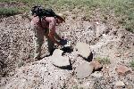 Archeologist at Sivu'ovi, Petrified Forest National Park