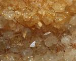 Citrine crystals in petrified wood