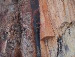 Close up of petrified wood, Petrified Forest National Park1
