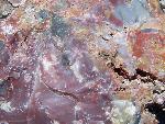 Close up of petrified wood, Petrified Forest National Park1a