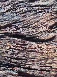 Close up of petrified wood, Petrified Forest National Park2