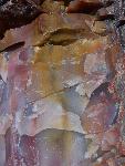 Close up of petrified wood, Petrified Forest National Park2a