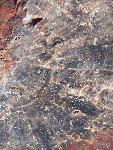 Close up of petrified wood, Petrified Forest National Park3