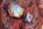 Close up of petrified wood, Petrified Forest National Park3a