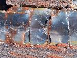 Close up of petrified wood, Petrified Forest National Park4