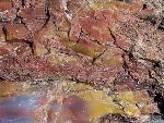 Close up of petrified wood, Petrified Forest National Park5